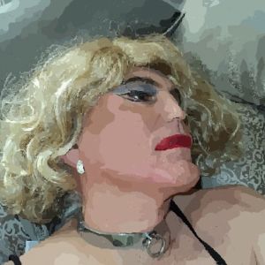 Rogerobot  | Tranny Ladies - komunita pre transgender ľudí a ich a priateľov.